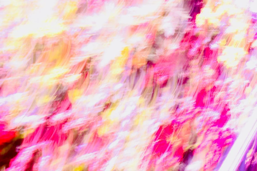 No. 39 — Spring Study X, Photography