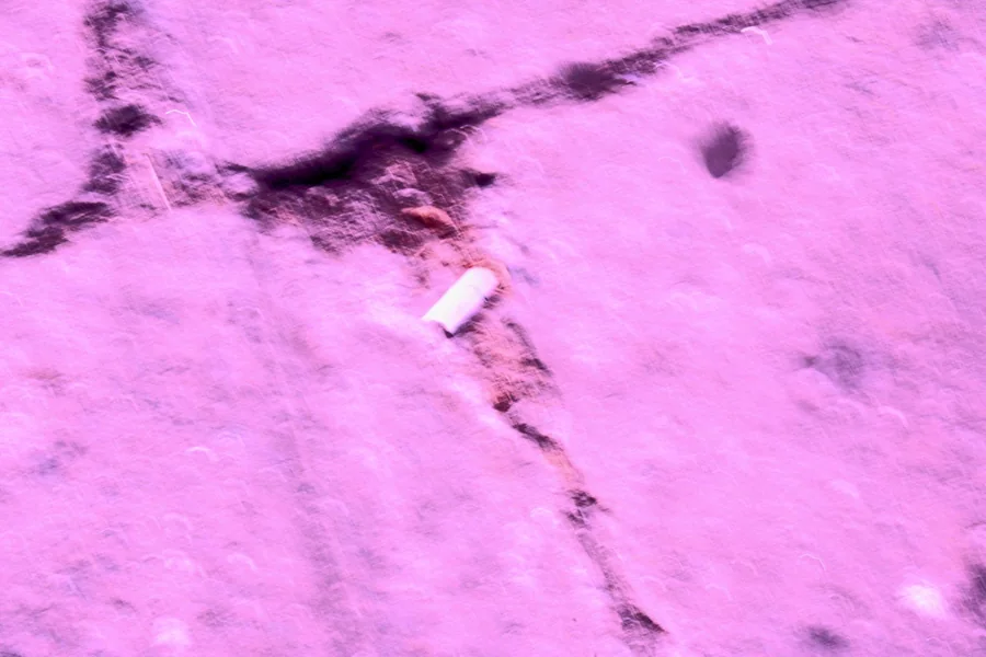No. 42 — Spring Study XIII, Photography